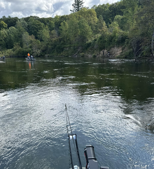 Ready for the fight: Michigan steelhead